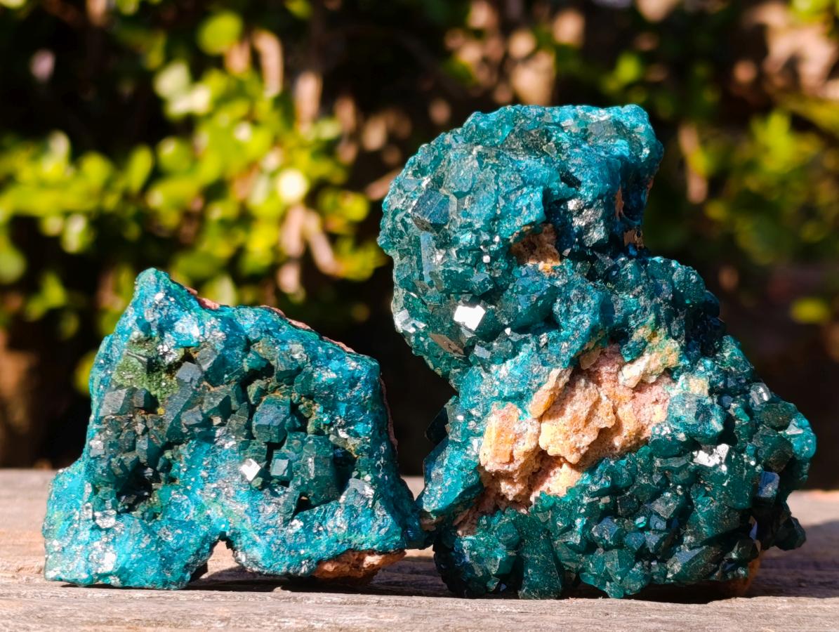 Natural Dioptase on Dolomite Specimens x 6 From Mashamba East Mine, Congo - Toprock Gemstones and Minerals 