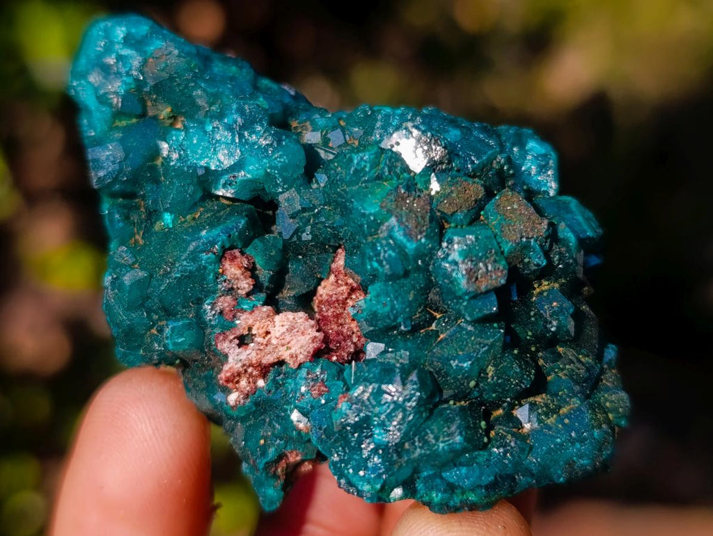 Natural Dioptase on Dolomite Specimens x 6 From Mashamba East Mine, Congo - Toprock Gemstones and Minerals 