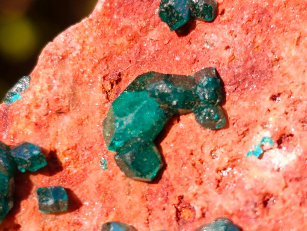 Natural Dioptase on Dolomite Specimens x 6 From Mashamba East Mine, Congo - Toprock Gemstones and Minerals 