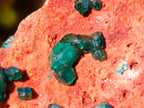 Natural Dioptase on Dolomite Specimens x 6 From Mashamba East Mine, Congo - Toprock Gemstones and Minerals 