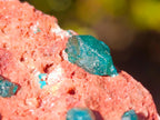 Natural Dioptase on Dolomite Specimens x 6 From Mashamba East Mine, Congo - Toprock Gemstones and Minerals 