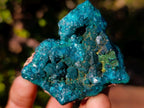 Natural Dioptase on Dolomite Specimens x 6 From Mashamba East Mine, Congo - Toprock Gemstones and Minerals 