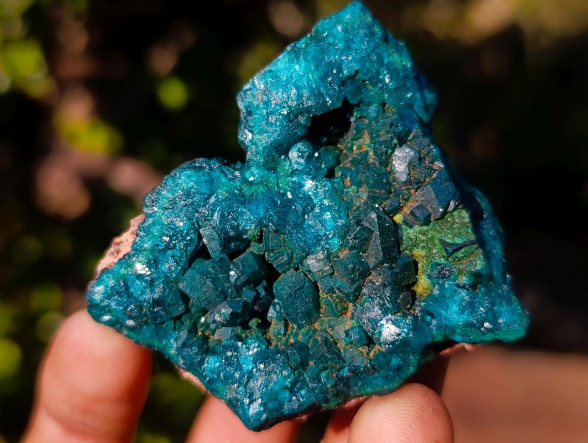 Natural Dioptase on Dolomite Specimens x 6 From Mashamba East Mine, Congo - Toprock Gemstones and Minerals 