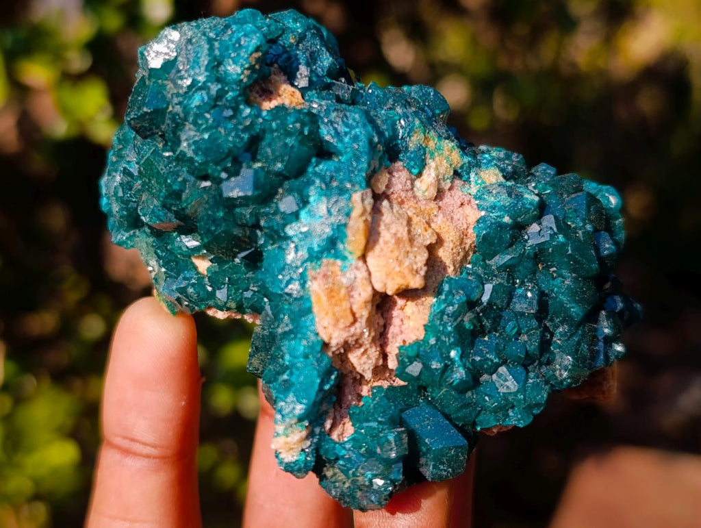 Natural Dioptase on Dolomite Specimens x 6 From Mashamba East Mine, Congo - Toprock Gemstones and Minerals 