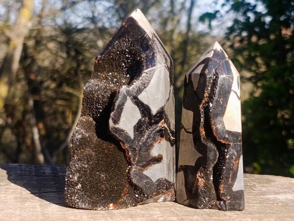 Polished and Natural Septerye Sauvage Display Crystals x 3 From Mahajanga, Madagascar - Toprock Gemstones and Minerals 