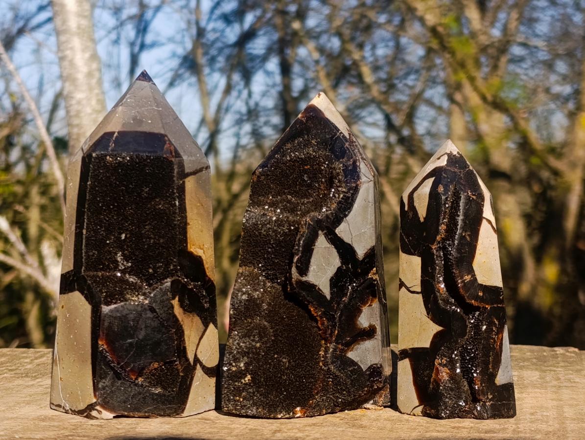 Polished and Natural Septerye Sauvage Display Crystals x 3 From Mahajanga, Madagascar - Toprock Gemstones and Minerals 