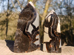 Polished and Natural Septerye Sauvage Display Crystals x 3 From Mahajanga, Madagascar - Toprock Gemstones and Minerals 