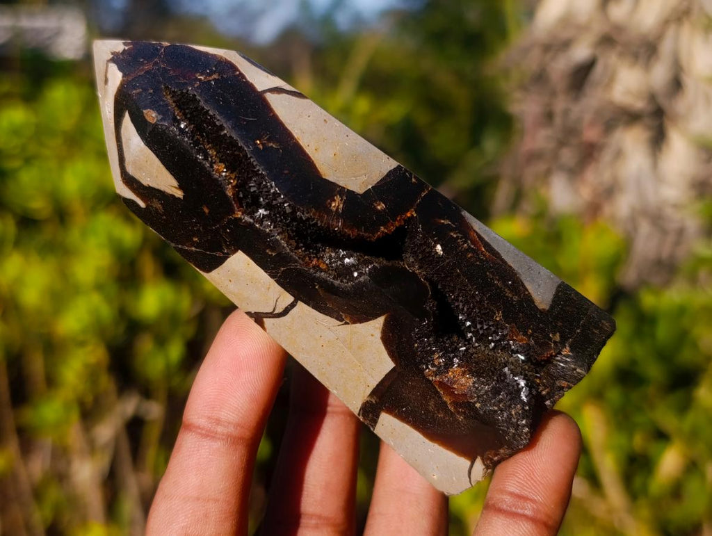 Polished and Natural Septerye Sauvage Display Crystals x 3 From Mahajanga, Madagascar - Toprock Gemstones and Minerals 