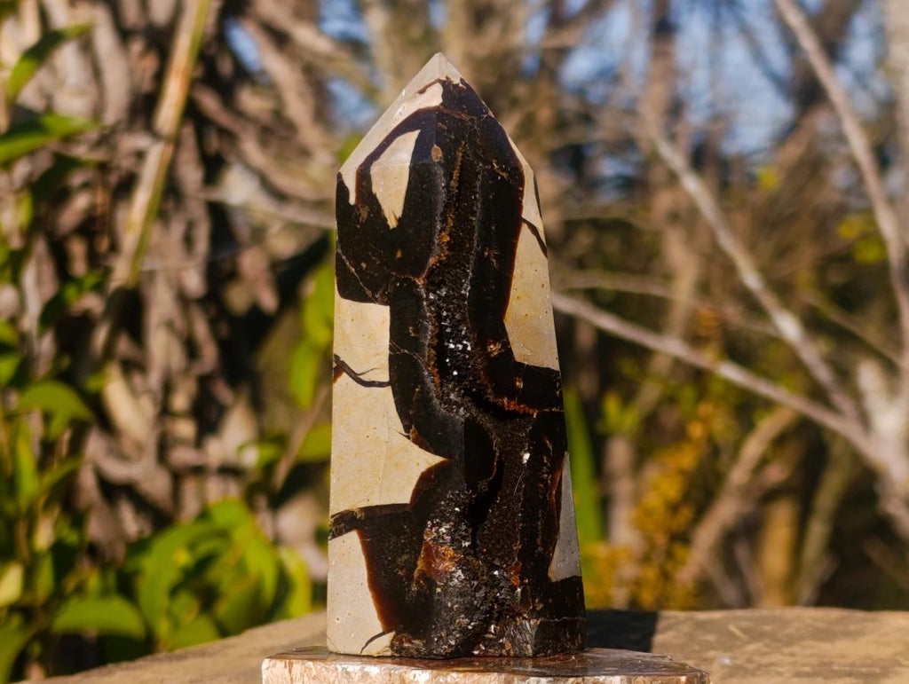 Polished and Natural Septerye Sauvage Display Crystals x 3 From Mahajanga, Madagascar - Toprock Gemstones and Minerals 