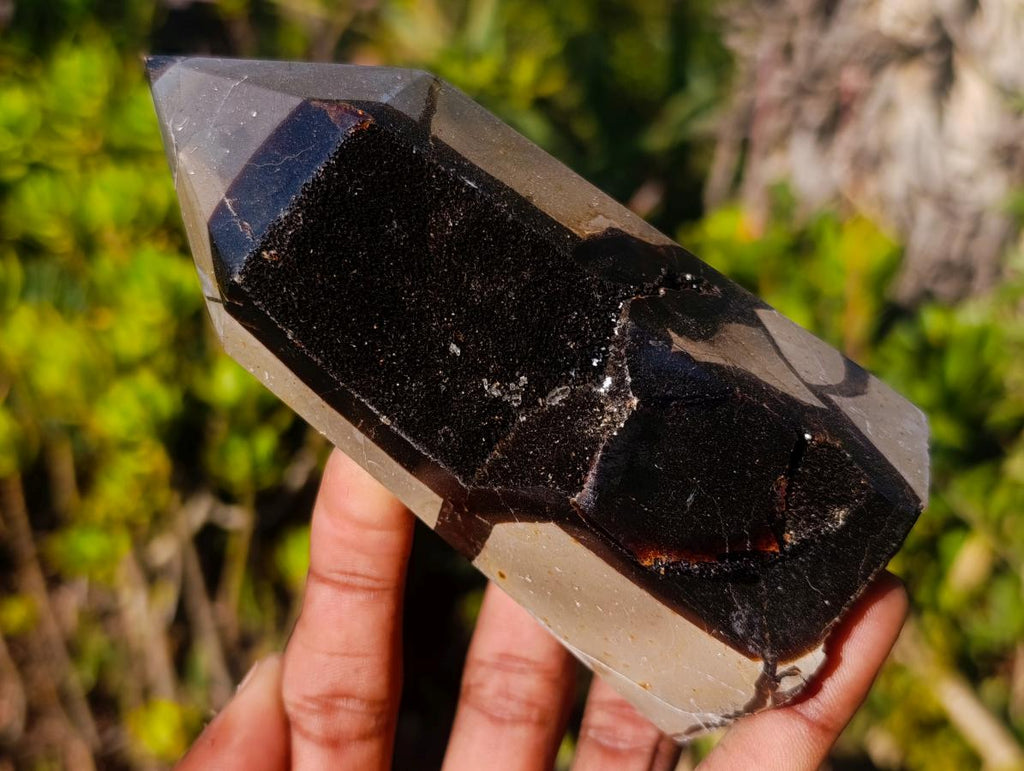 Polished and Natural Septerye Sauvage Display Crystals x 3 From Mahajanga, Madagascar - Toprock Gemstones and Minerals 