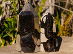 Polished and Natural Septerye Sauvage Display Crystals x 3 From Mahajanga, Madagascar - Toprock Gemstones and Minerals 