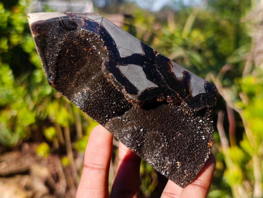 Polished and Natural Septerye Sauvage Display Crystals x 3 From Mahajanga, Madagascar - Toprock Gemstones and Minerals 