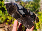 Polished and Natural Septerye Sauvage Display Crystals x 3 From Mahajanga, Madagascar - Toprock Gemstones and Minerals 