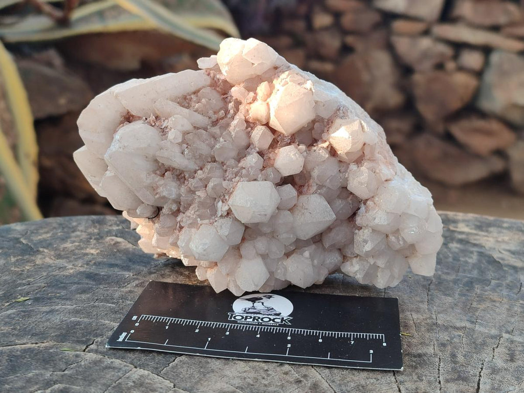 Natural Cascading Pineapple Quartz Crystal Clusters x 10 From Antsirabe, Madagascar - Toprock Gemstones and Minerals 
