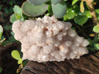Natural Cascading Pineapple Quartz Crystal Clusters x 10 From Antsirabe, Madagascar - Toprock Gemstones and Minerals 