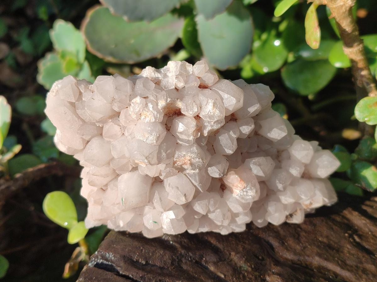 Natural Cascading Pineapple Quartz Crystal Clusters x 10 From Antsirabe, Madagascar - Toprock Gemstones and Minerals 