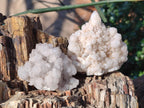Natural Cascading Pineapple Quartz Crystal Clusters x 10 From Antsirabe, Madagascar - Toprock Gemstones and Minerals 