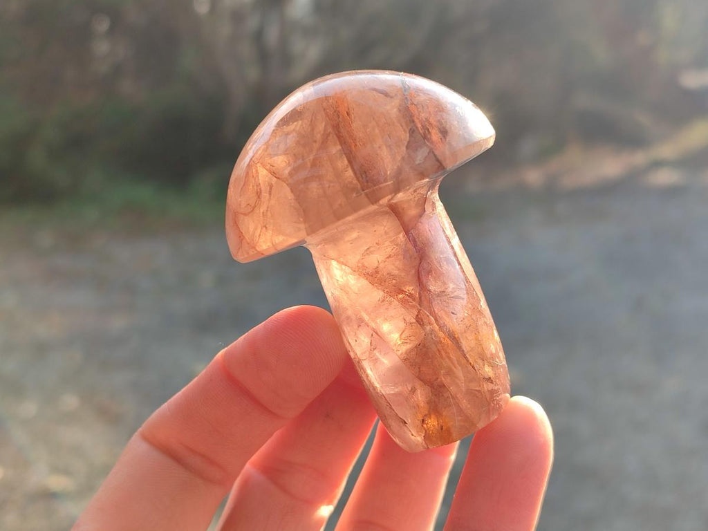 Polished Mixed Multi Mineral Mushrooms x 15 From Madagascar - Toprock Gemstones and Minerals 