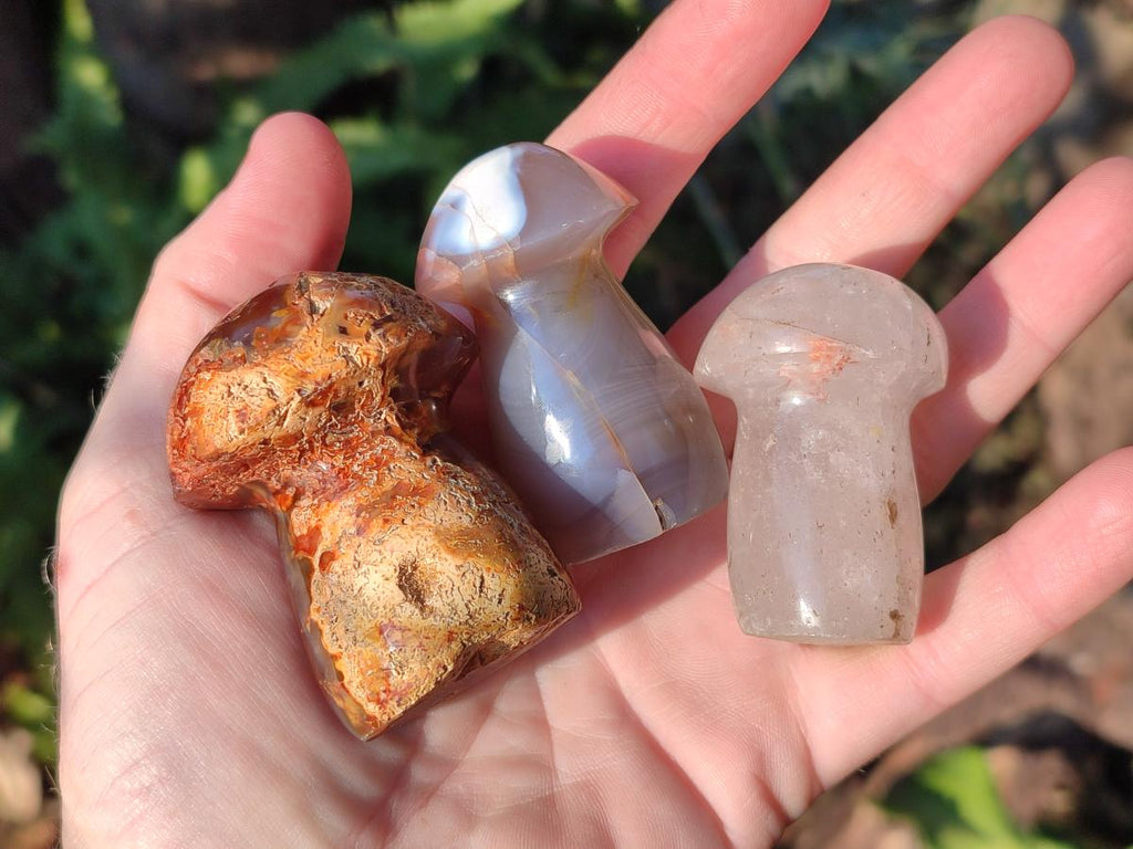 Polished Mixed Multi Mineral Mushrooms x 15 From Madagascar - Toprock Gemstones and Minerals 