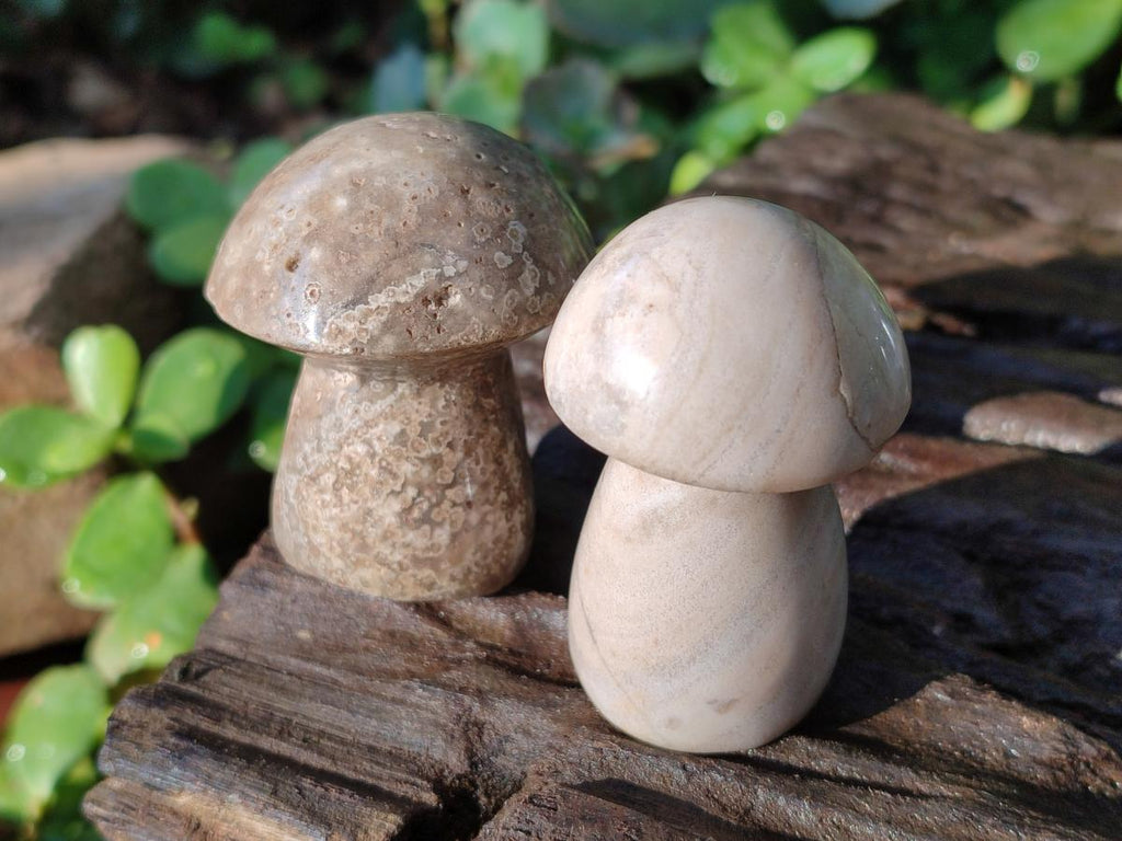 Polished Mixed Multi Mineral Mushrooms x 15 From Madagascar - Toprock Gemstones and Minerals 