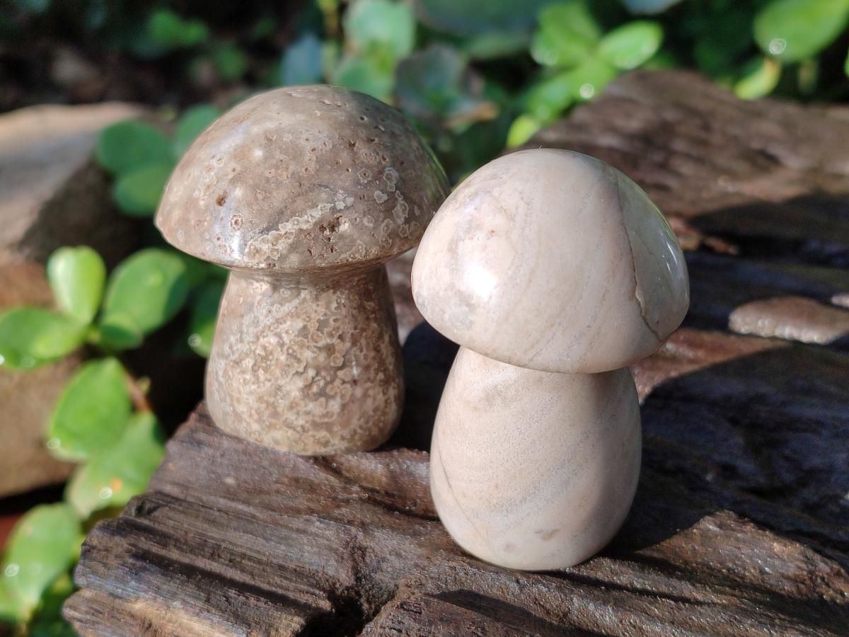 Polished Mixed Multi Mineral Mushrooms x 15 From Madagascar - Toprock Gemstones and Minerals 