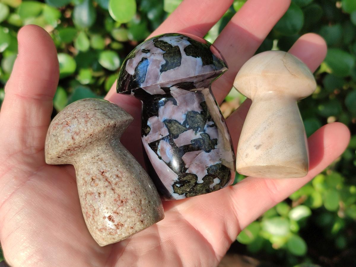 Polished Mixed Multi Mineral Mushrooms x 15 From Madagascar - Toprock Gemstones and Minerals 