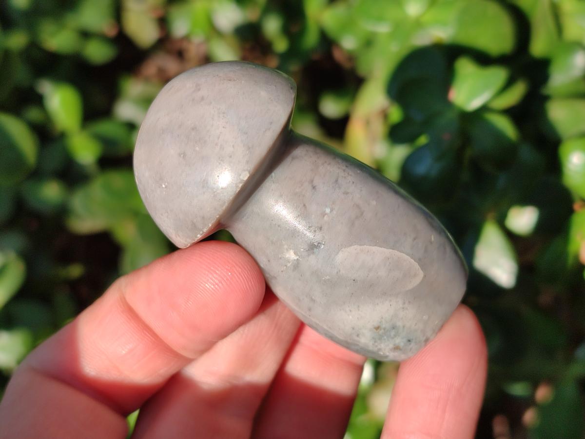 Polished Mixed Multi Mineral Mushrooms x 15 From Madagascar - Toprock Gemstones and Minerals 