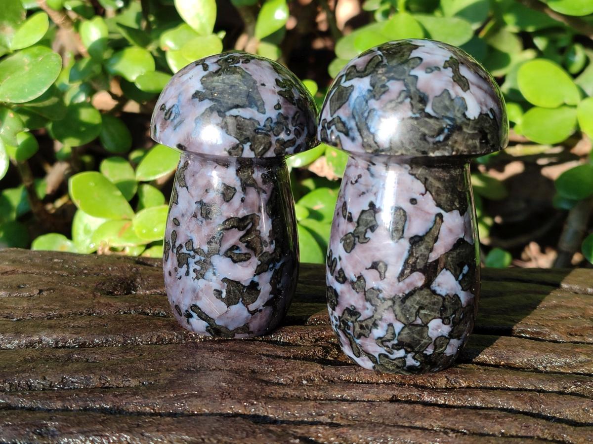 Polished Mixed Multi Mineral Mushrooms x 15 From Madagascar - Toprock Gemstones and Minerals 