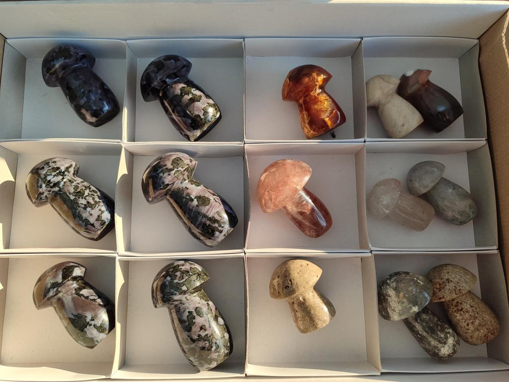 Polished Mixed Multi Mineral Mushrooms x 15 From Madagascar - Toprock Gemstones and Minerals 