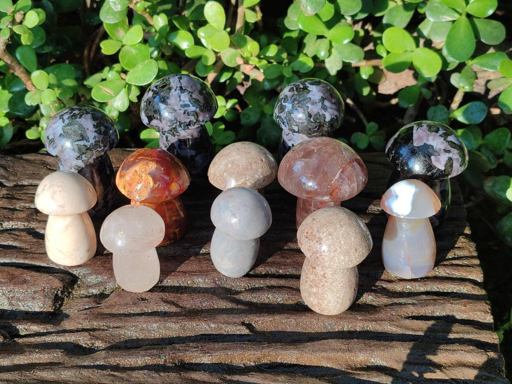 Polished Mixed Multi Mineral Mushrooms x 15 From Madagascar - Toprock Gemstones and Minerals 