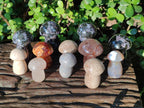 Polished Mixed Multi Mineral Mushrooms x 15 From Madagascar - Toprock Gemstones and Minerals 