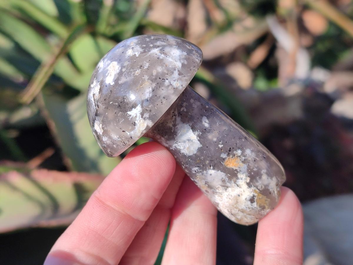 Polished Mixed Multi Mineral Mushrooms x 15 From Madagascar - Toprock Gemstones and Minerals 