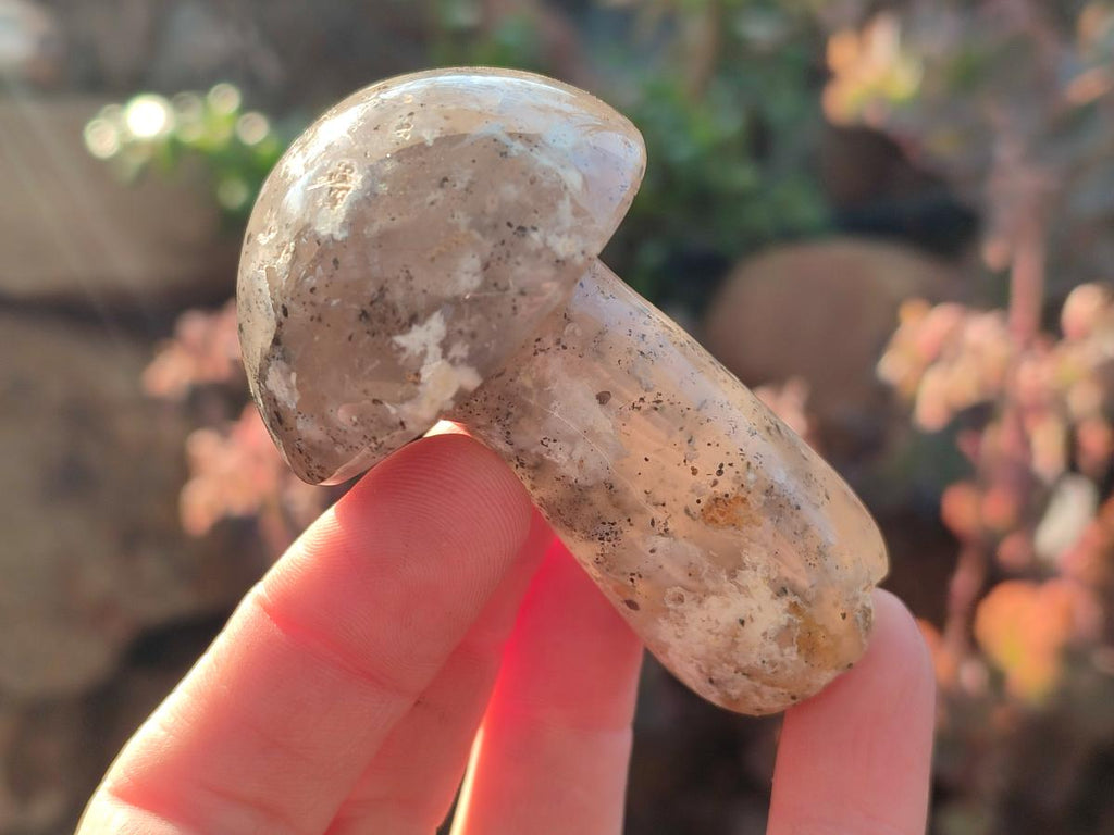 Polished Mixed Multi Mineral Mushrooms x 15 From Madagascar - Toprock Gemstones and Minerals 