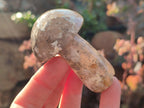 Polished Mixed Multi Mineral Mushrooms x 15 From Madagascar - Toprock Gemstones and Minerals 