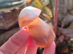Polished Mixed Multi Mineral Mushrooms x 15 From Madagascar - Toprock Gemstones and Minerals 