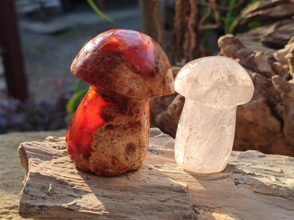 Polished Mixed Multi Mineral Mushrooms x 15 From Madagascar - Toprock Gemstones and Minerals 