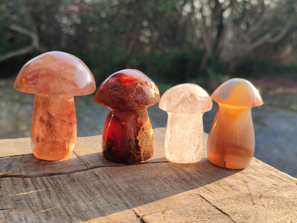 Polished Mixed Multi Mineral Mushrooms x 15 From Madagascar - Toprock Gemstones and Minerals 