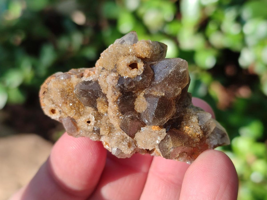 Natural Mini Golden Limonite Quartz Clusters x 70 From Solwezi, Zambia - Toprock Gemstones and Minerals 