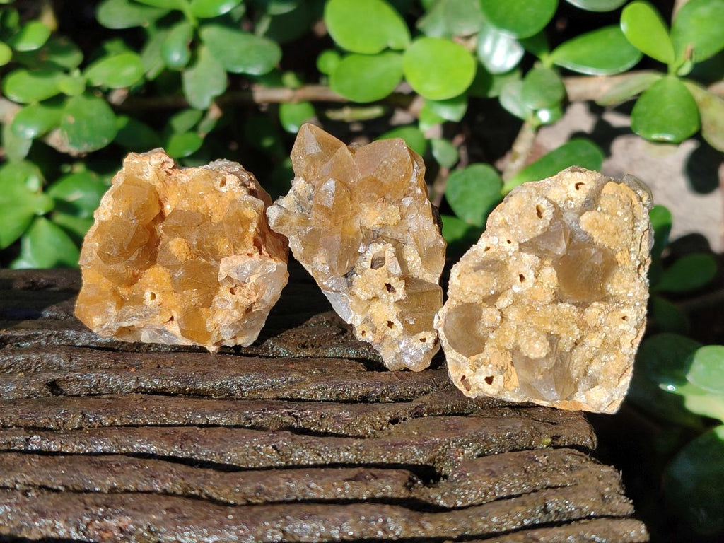 Natural Mini Golden Limonite Quartz Clusters x 70 From Solwezi, Zambia - Toprock Gemstones and Minerals 