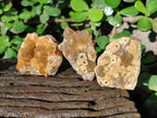 Natural Mini Golden Limonite Quartz Clusters x 70 From Solwezi, Zambia - Toprock Gemstones and Minerals 