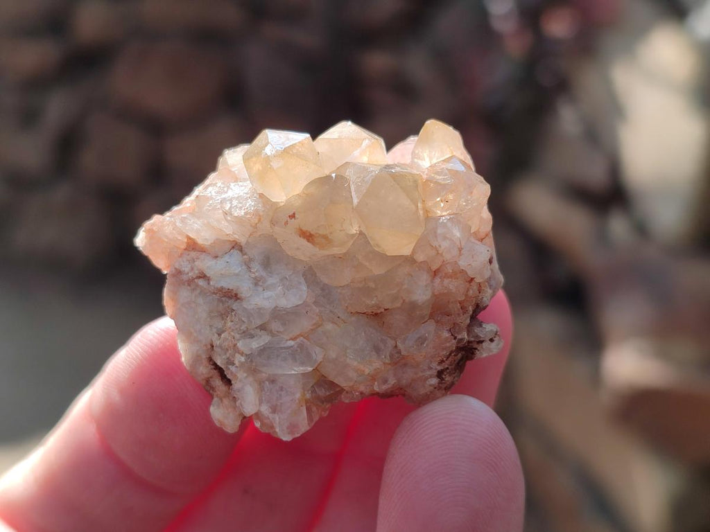 Natural Mini Golden Limonite Quartz Clusters x 70 From Solwezi, Zambia - Toprock Gemstones and Minerals 