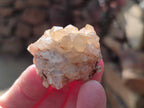 Natural Mini Golden Limonite Quartz Clusters x 70 From Solwezi, Zambia - Toprock Gemstones and Minerals 