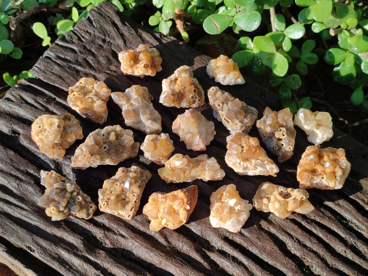 Natural Mini Golden Limonite Quartz Clusters x 70 From Solwezi, Zambia - Toprock Gemstones and Minerals 