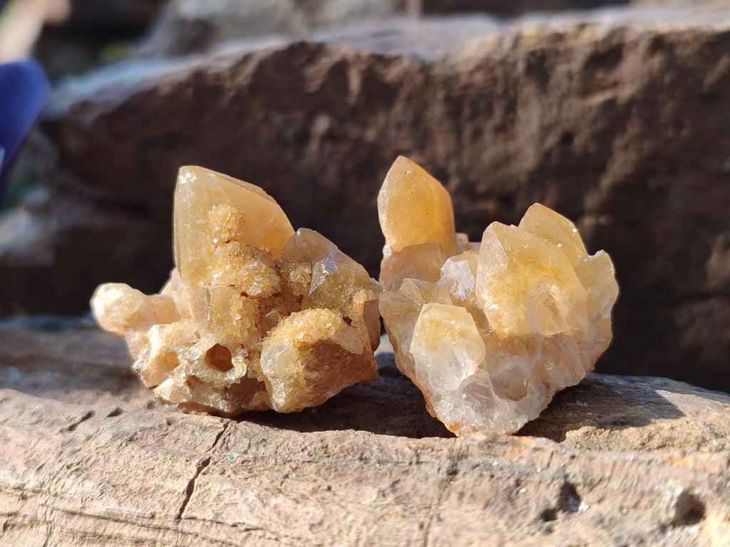 Natural Mini Golden Limonite Quartz Clusters x 70 From Solwezi, Zambia - Toprock Gemstones and Minerals 