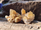 Natural Mini Golden Limonite Quartz Clusters x 70 From Solwezi, Zambia - Toprock Gemstones and Minerals 