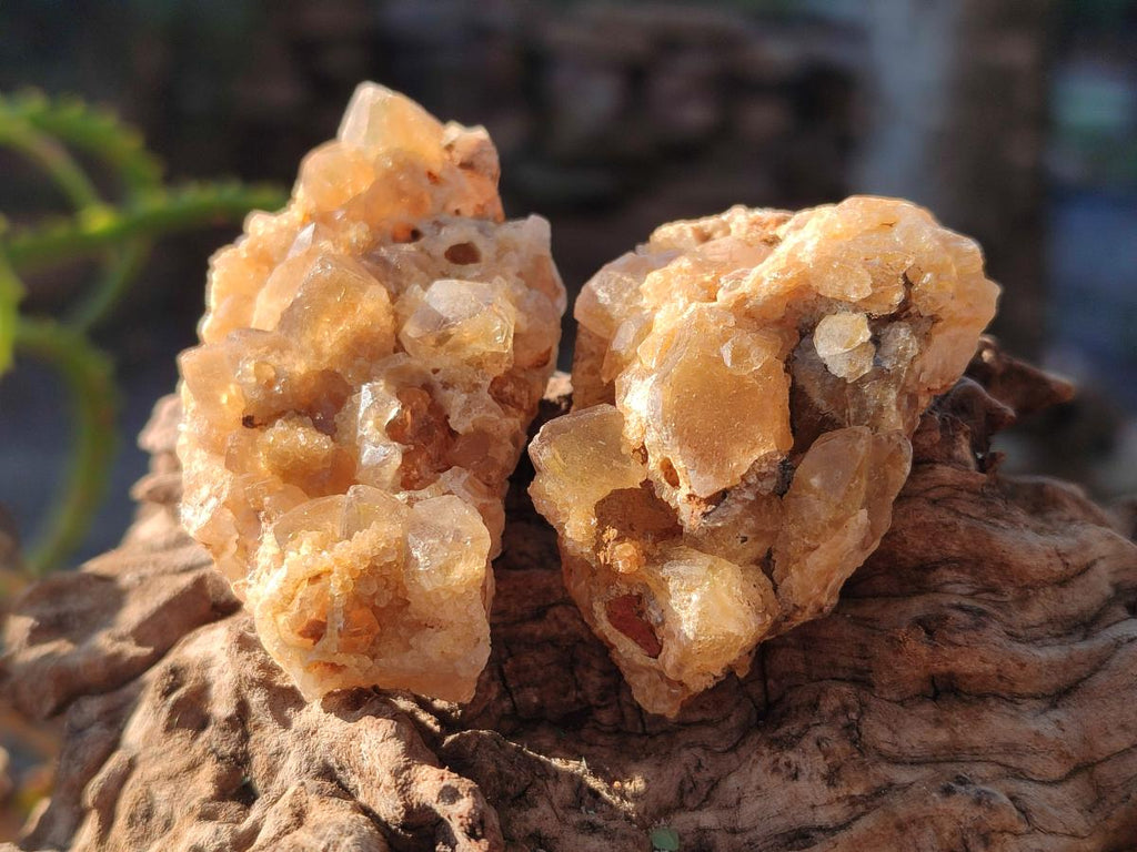 Natural Mini Golden Limonite Quartz Clusters x 70 From Solwezi, Zambia - Toprock Gemstones and Minerals 