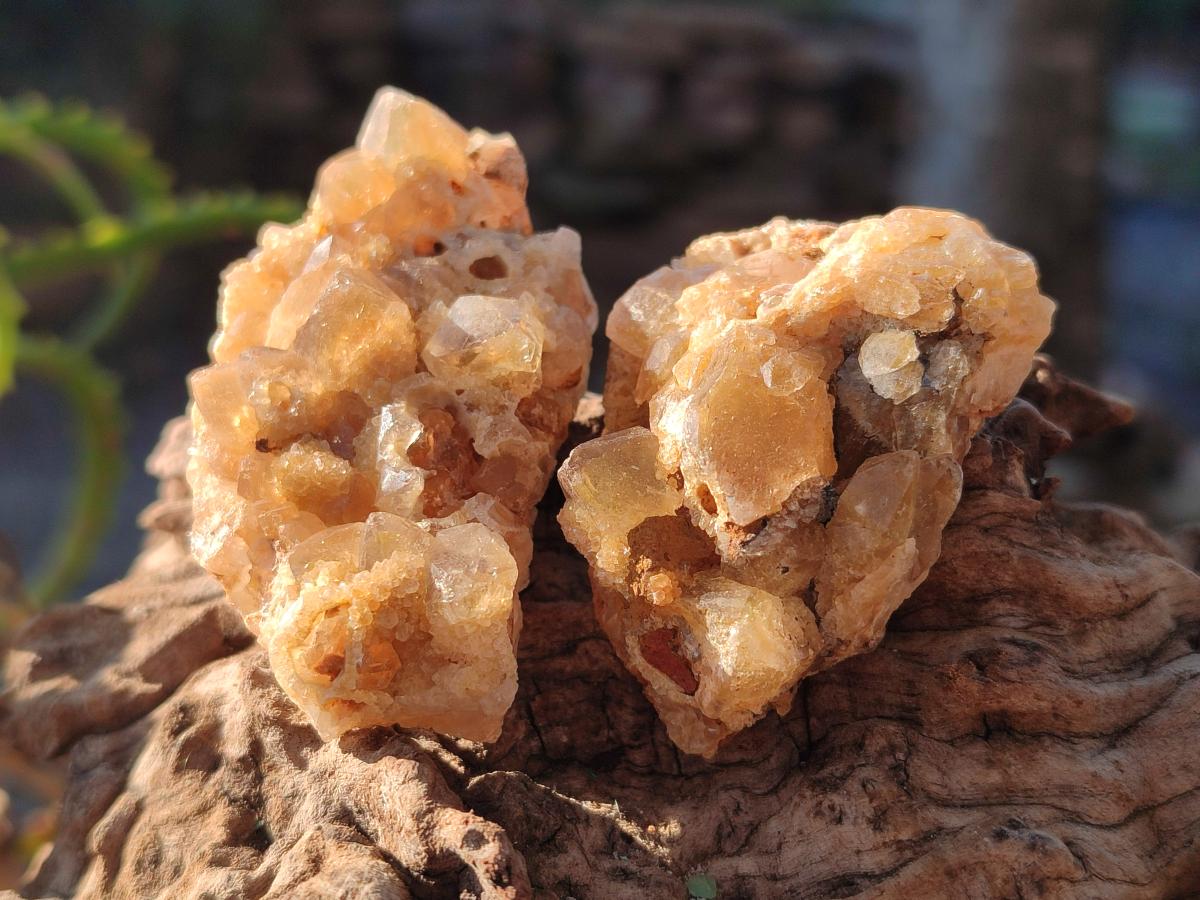 Natural Mini Golden Limonite Quartz Clusters x 70 From Solwezi, Zambia - Toprock Gemstones and Minerals 