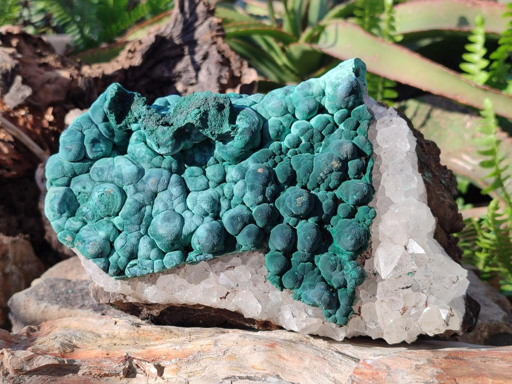 Natural Large Ball Malachite Specimen with Quartz on Dolomite x 1 From Mindingi Mine, Kambove, Congo - Toprock Gemstones and Minerals 