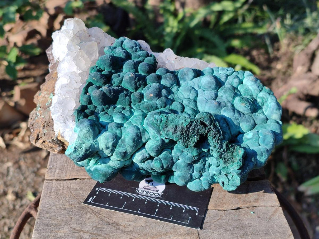 Natural Large Ball Malachite Specimen with Quartz on Dolomite x 1 From Mindingi Mine, Kambove, Congo - Toprock Gemstones and Minerals 