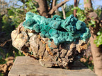 Natural Large Ball Malachite Specimen with Quartz on Dolomite x 1 From Mindingi Mine, Kambove, Congo - Toprock Gemstones and Minerals 